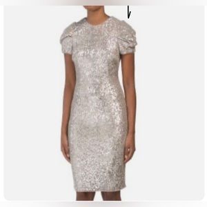 Adrianna Papell Silver Sequins dress